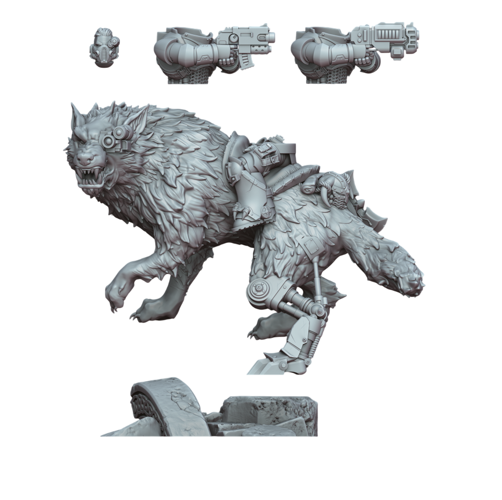 Stormwolf rider 2