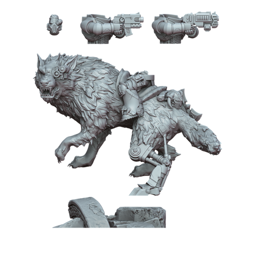 Stormwolf rider 2