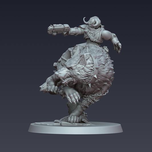 Stormwolf Rider 3
